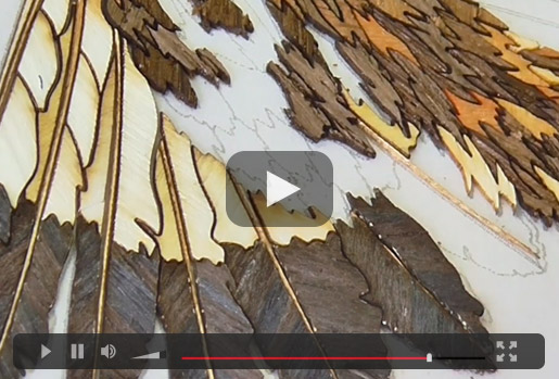 Marquetry Eagle Video