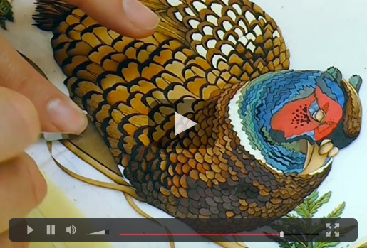 Marquetry Pheasant Video