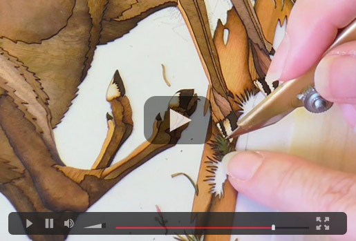 Marquetry Stag Video